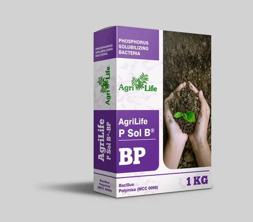 Powder Bacillus polymixa - P Sol BP - PSB Bacteria - 1 Kg
