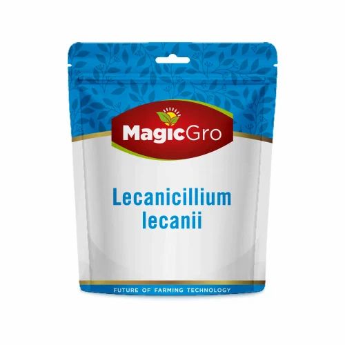 Powder Bifenthrin aphids treatment with LECANICILLIUM LECANII, 1 Kg