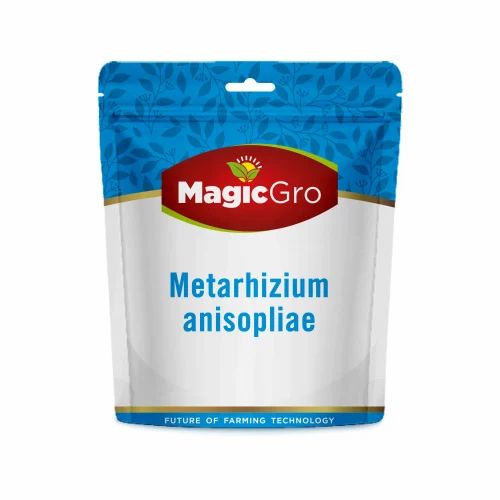 Powder MagicGro metarhizium biopesticide, Pest Control, 1 Kg