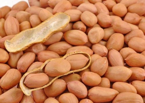 Bold Groundnut Seeds Kernel (Food Grade)