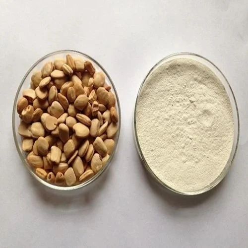 B Grade Tamarind Seed Powder