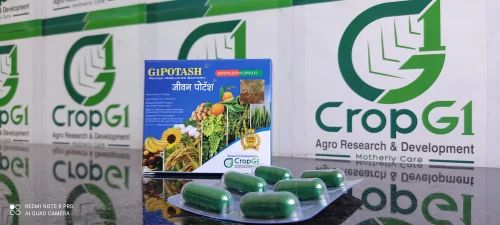 G1Potash Frateuria Aurantia Bio Fertilizer Gelatin Capsules