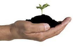 Probiofer ( Ecocert Certified Organic Nitrogen Fertilizer)
