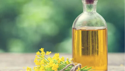 Refined Canola Oil, 1 Litre, High In Protein