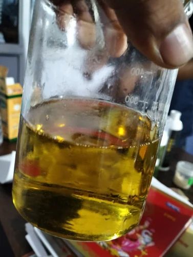 Olive - Oil