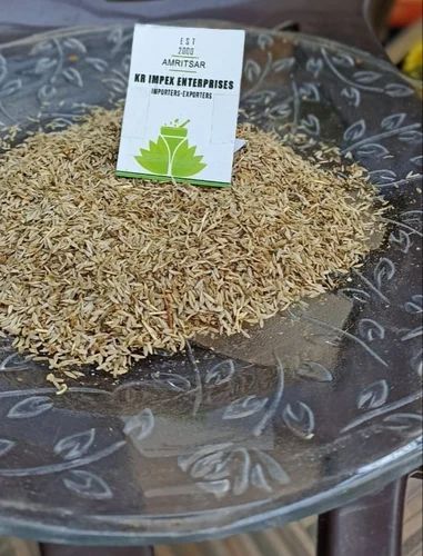 SAI HERBS Kala Jeera - Shahi Jira - Black Cumin Seeds - Shah Jeera