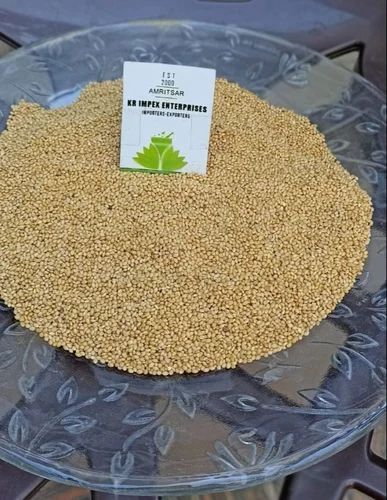 Sai Herbs Kangni Beej - Kangni Seeds - Foxtail Millets - Kakum Beej - Naj Kangni - Anaj Kangni