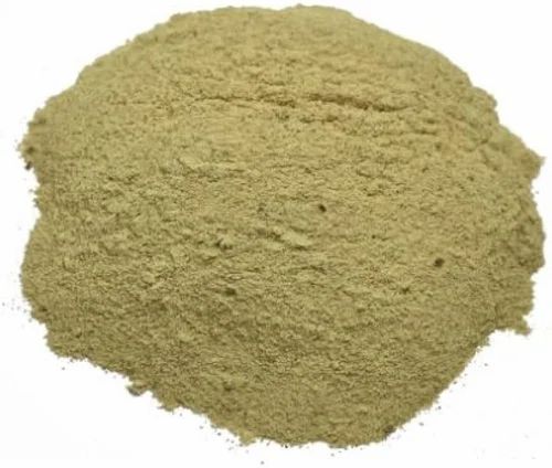 SAI HERBS Japanese Matcha Green Tea Extract Powder - Imported from Shizuoka, Japan