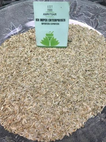 SAI HERBS Kahu Jeera - Kahoo Jeera - Safed Jeera - Lactuca Sativa