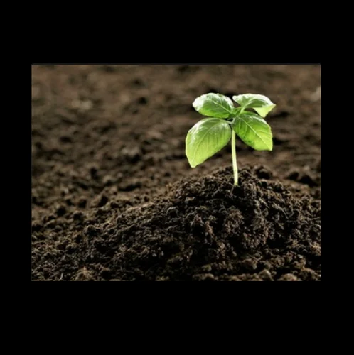 Pure White Crystalline Soil Conditioner, For Agricultural, Pack Type: Bag