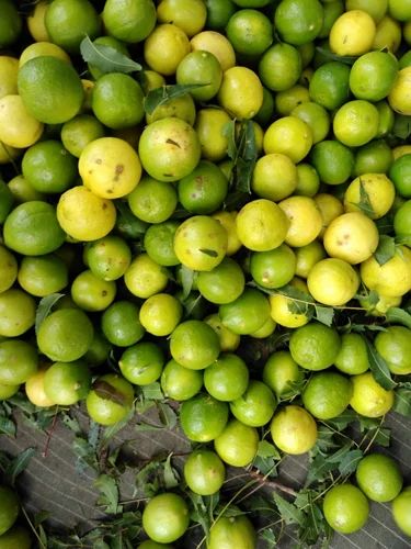 A Grade Fresh Lemon