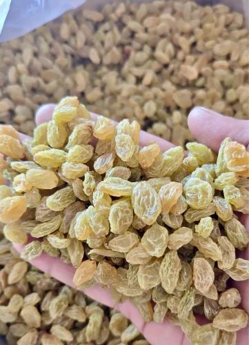 Yellow Dry Grapes, Loose