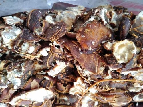 Tamarind Imli, Flower, 30 kg