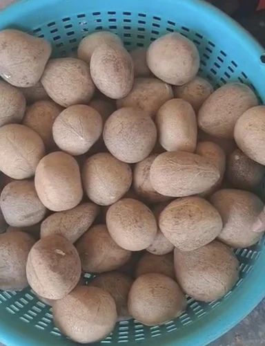 Whole Edible Coconut Copra