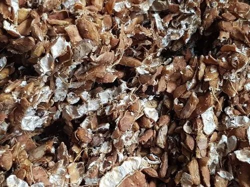 Organic Seedless Tamarind