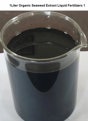 Ascophyllum nodosum 15% (Liquid) Fco Grade, Packaging Size: 1 L