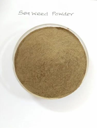 20 kg Seaweed Powder - Sargassum, Bag