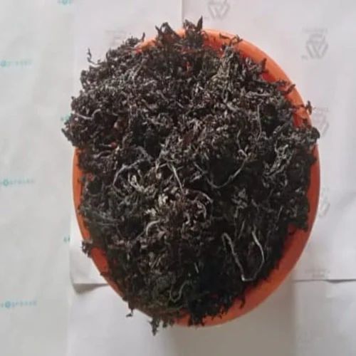 Granules 10 kg Dried Sargassum Seaweed, Bag