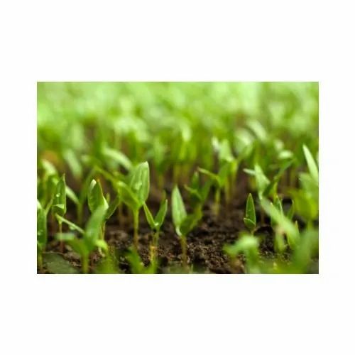 Organic Farming Supplements, Packet, 1-5 Kg