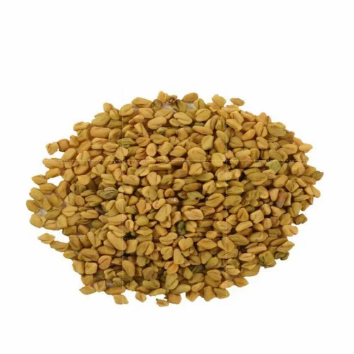 Fenugreek Seed