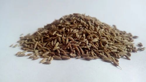 Europe 99.5% Cumin Seeds