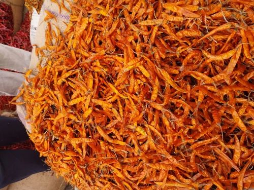 Premium Yellow Chilli, Heat Level: High, 25 kg