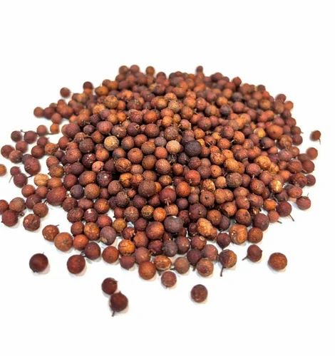 Vai Vidang Seed