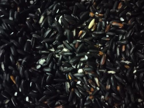 Black Karuppu Kavuni Organic Rice