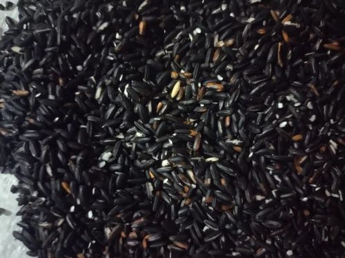 Manipuri Black Rice Organic