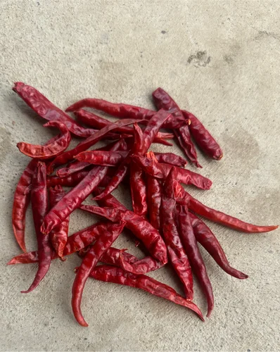 Extra Hot Stemcut Dried Chillies & Pepper - Guntur (AP), Teja (S17)