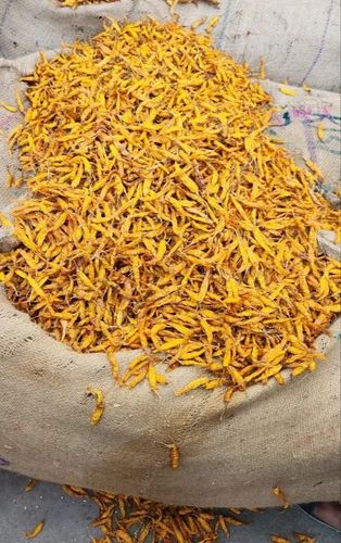 Dried Yellow Chilli