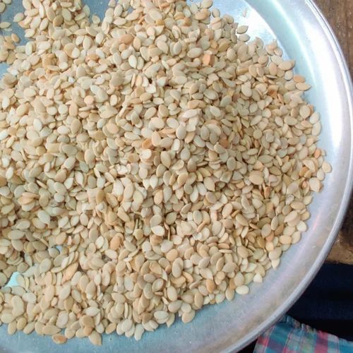 Sudan Magaj