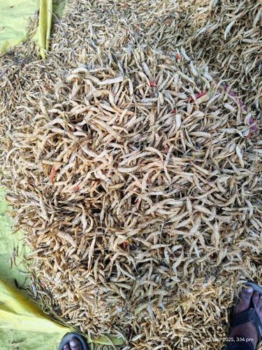 Dried White Chillies, Teja (S17), Super Deluxe