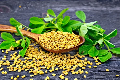 Whole Organic Fenugreek Seed, Packaging: Packet, Packaging Size: 5 Kg