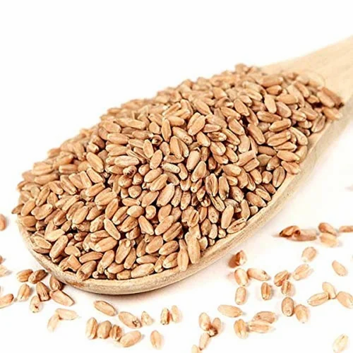 Organic Natural Wheat