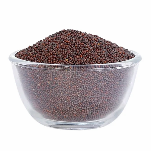 Black Mustard Seeds, 15 kg