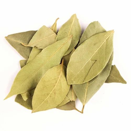 Indian Bay Leaf
