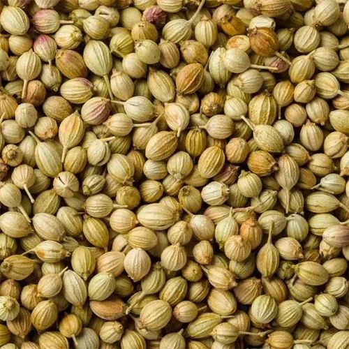 Adidev Organic Brown Fresh Coriander Seeds, Packaging Type: Packet, Packaging Size: 500 gm and 1 kg
