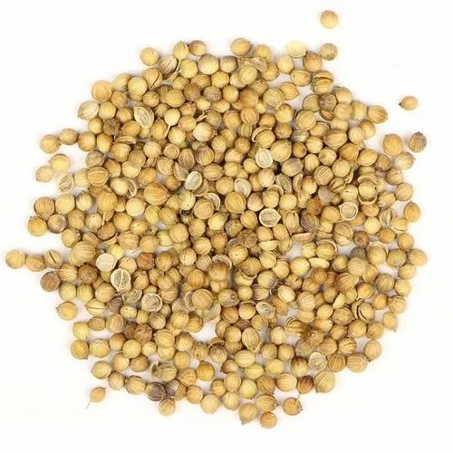 Organic Coriander Seed