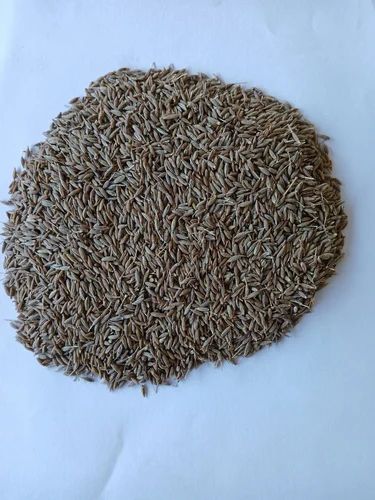 Cumin Seeds, Singapore 99%