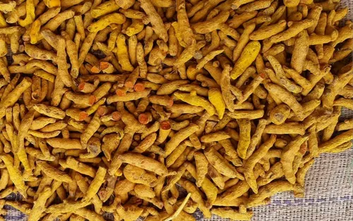 Polished Turmeric Finger