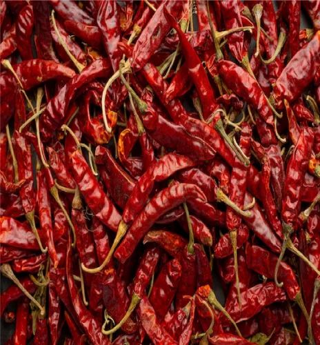 A Grade Variety of Chilli: Guntur Dry Whole Red Chilli