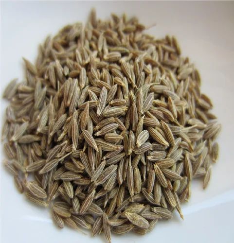 Grade: European Quality Jeera Cumin Seeds