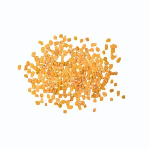 Fenugreek Seed Methi, Packaging Size: 1 kg, Packaging Type: Jute Bag