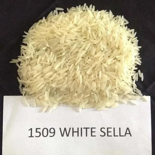 Basmati Rice 1509
