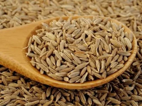 Cumin Seed Singapore 99%, Whole Seeds