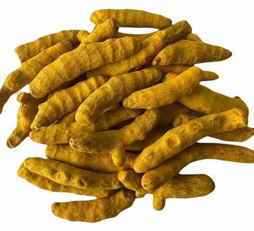 Dried Turmeric Finger