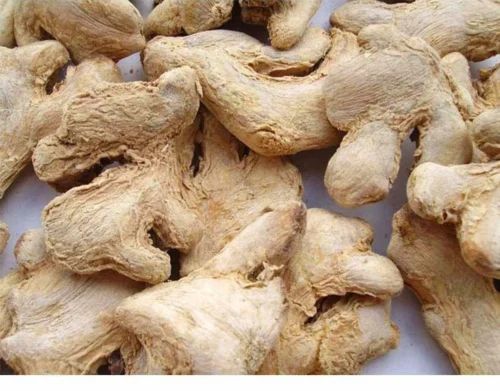 Cochin Quality Dried Ginger, Packaging Type: PP Bag