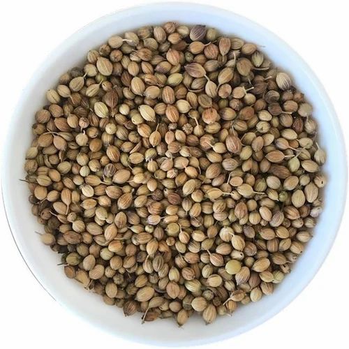 Dried Brown Eagle Plus Quality Coriander Seed, Packaging Type: Packet, Form: Seeds