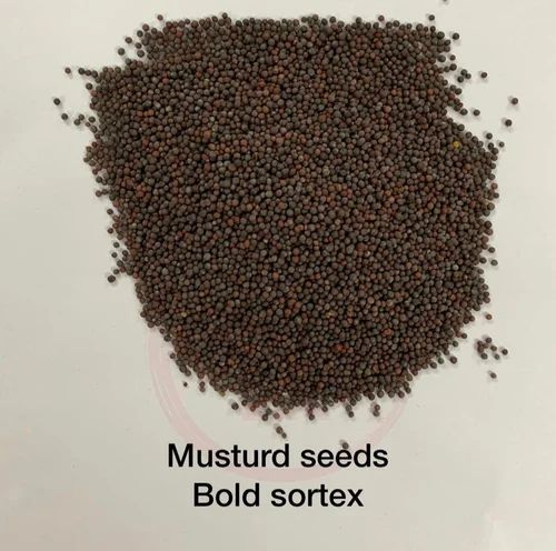 Natural Black Mustard Seeds, Packaging Size: 25 kg, Packaging Type: PP Bag
